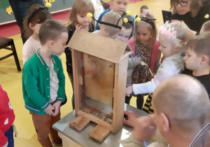 Dzieci przyglądają się żywym pszczołom.